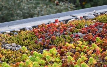 the cost of Danthorpe green roof installation