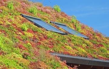 Danthorpe living roof systems