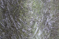 Danthorpe fibreglass roof work